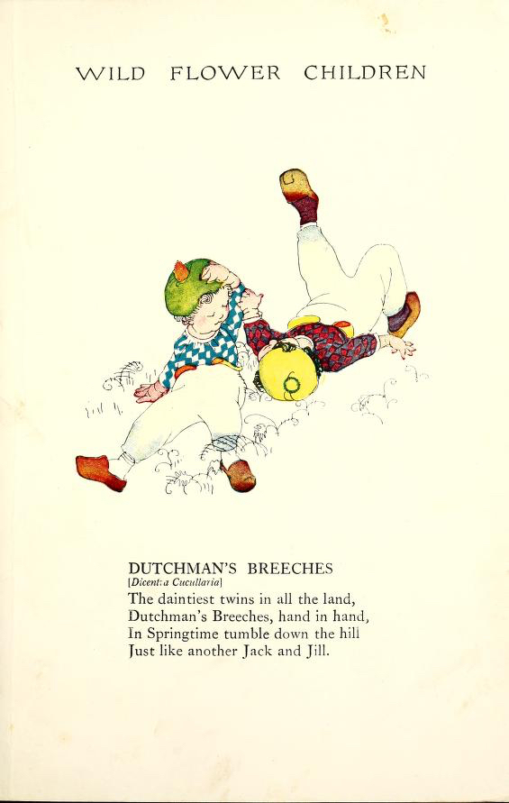 1918 Dutchman's Breeches Wildflower Children by Elizabeth Gordon with illustration by Janet Laura Scott.