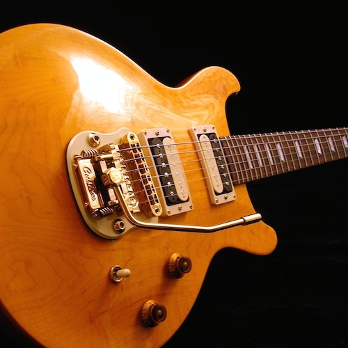 Gibson Les Paul DC with Gold Stetsbar.