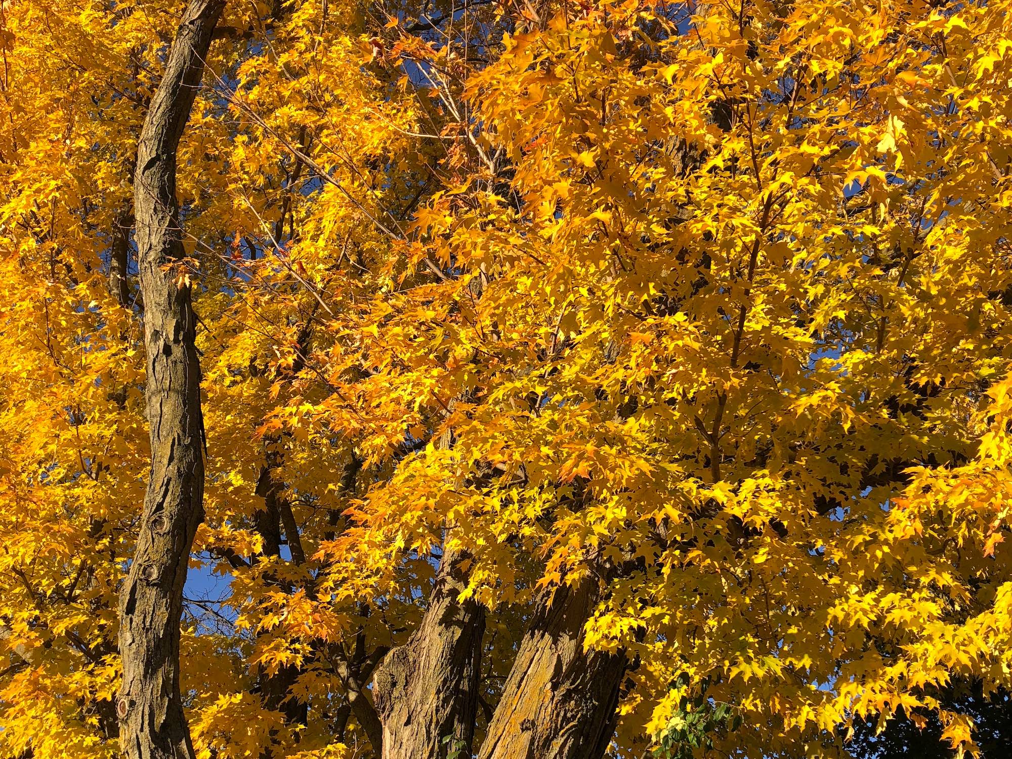 Wisconsin Products, Places and Events Authentic Original