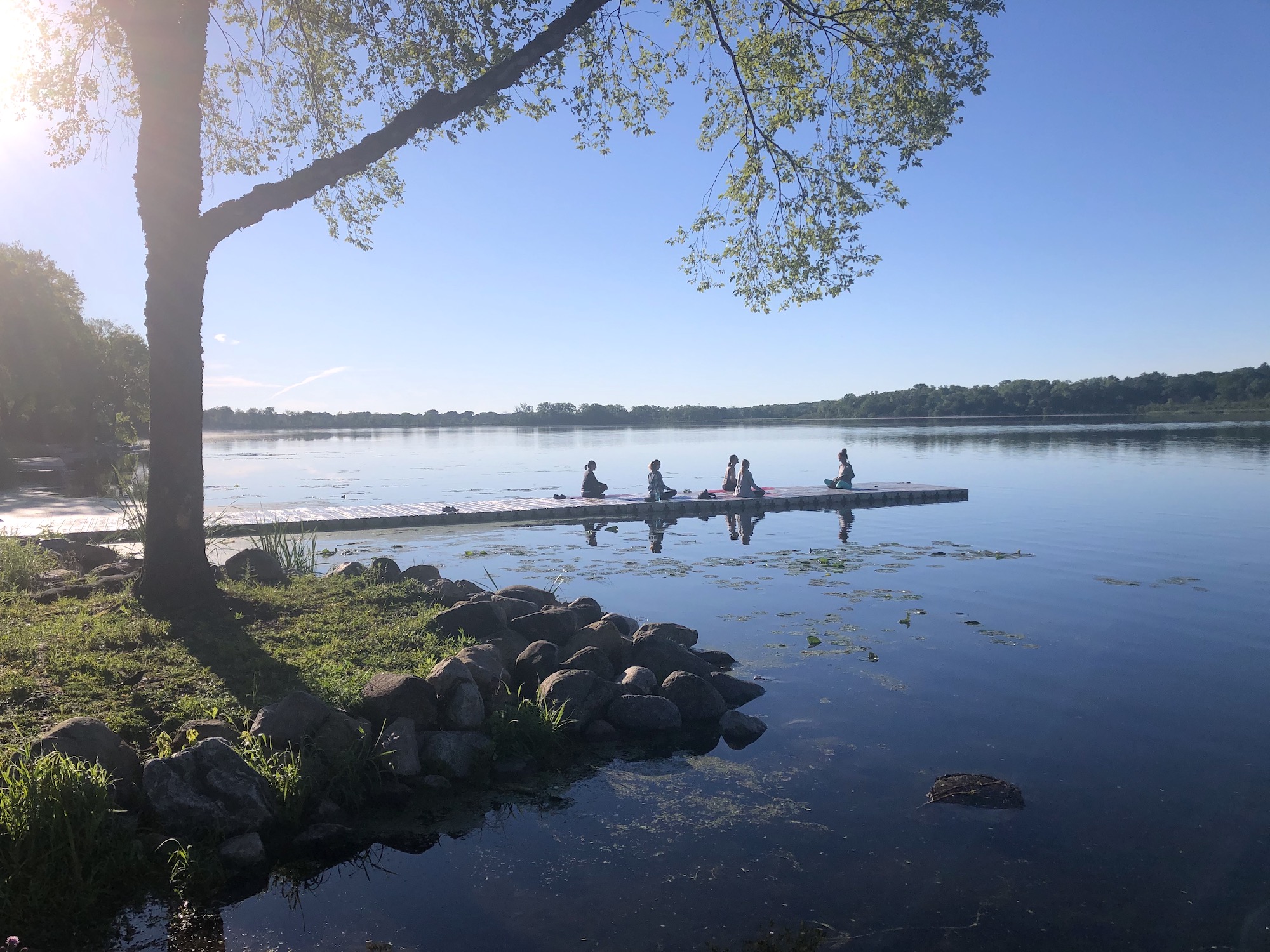 Yoga in the Park on shore of Lake Wingra on June 25, 2020.