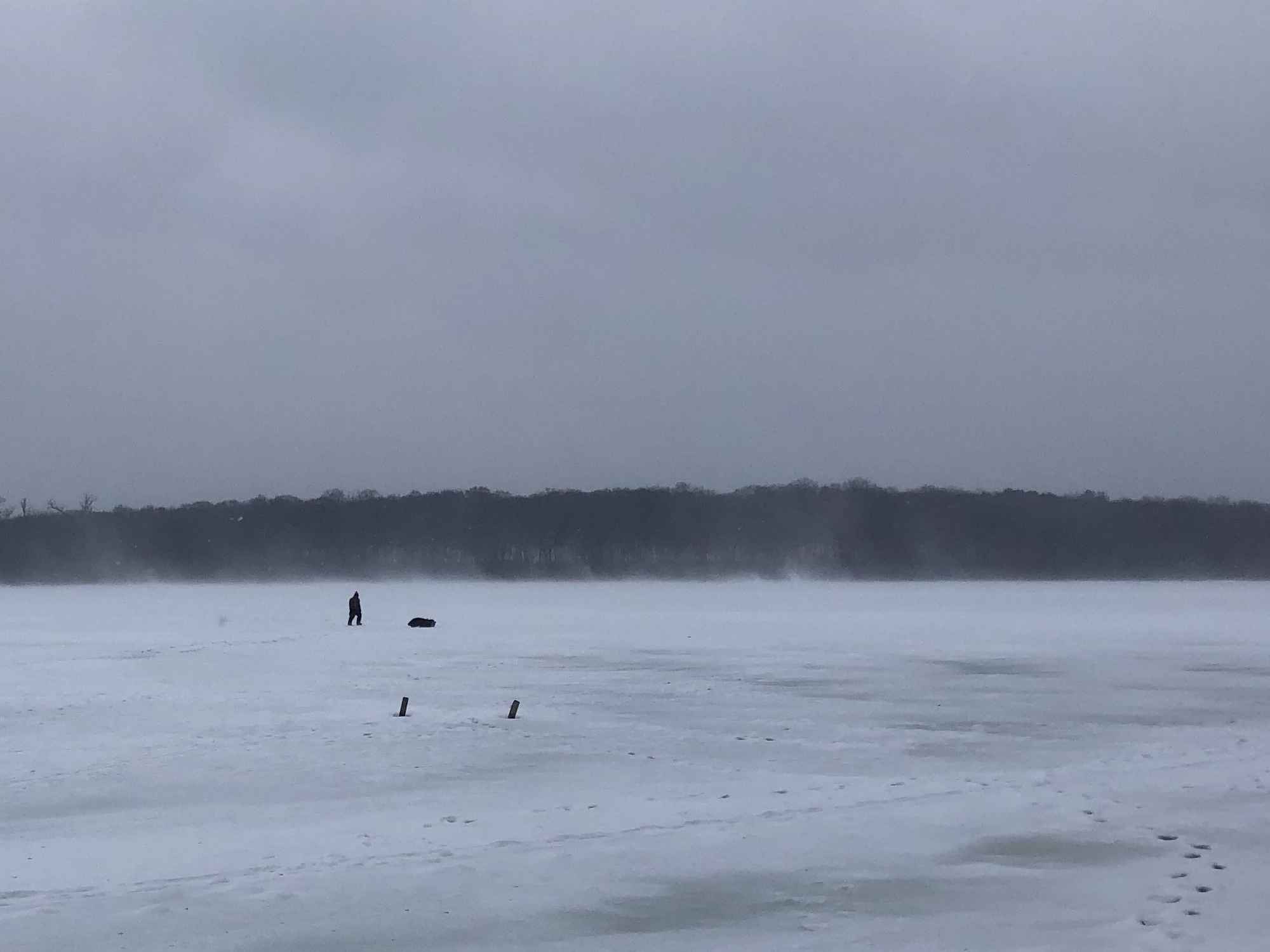 Lake Wingra | Madison, Wisconsin | February 24, 2019