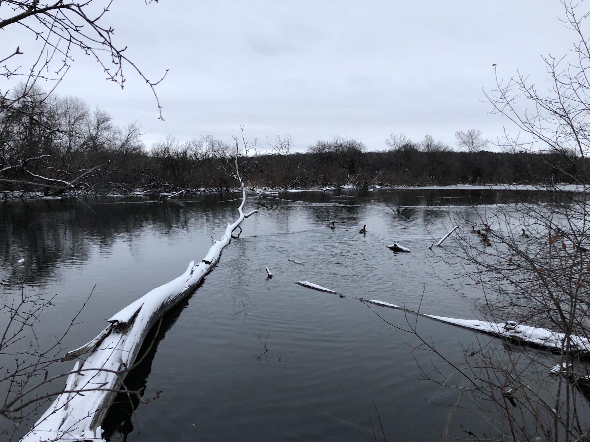 Lake Wingra Ho-Nee-Um Pond on December 29, 2018.